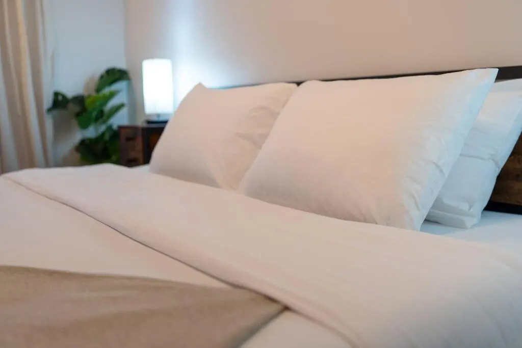 The Plateau Haven - Premium Location Apartment Montreal 0*,  Canada